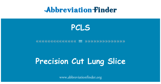 PCLS: 精工切割的肺切片