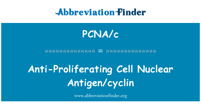 PCNA/c: Antigen sel berkembang biak anti nuklir/siklin