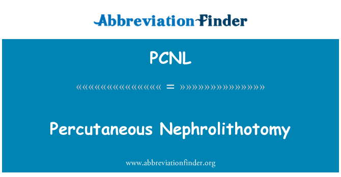 PCNL: Percutaneous Nephrolithotomy