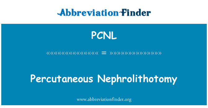 PCNL: Perkutánní konkrementu