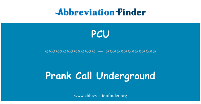 PCU: Screamer skambinti Underground