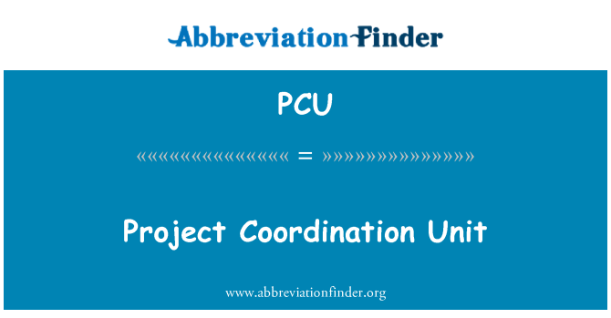 PCU: Unità tal-kordinazzjoni tal-proġett