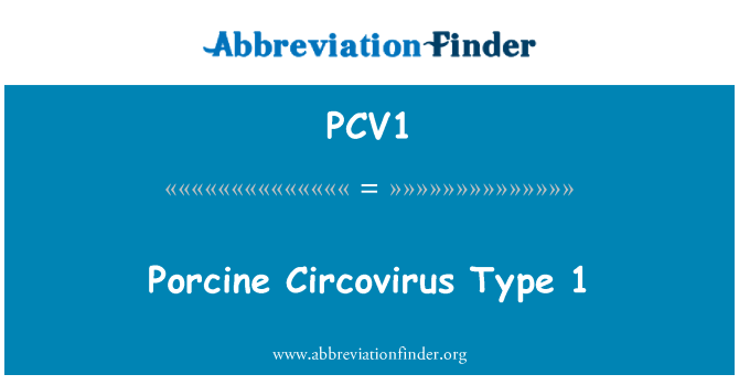PCV1: Prasat cirkovirus typ 1