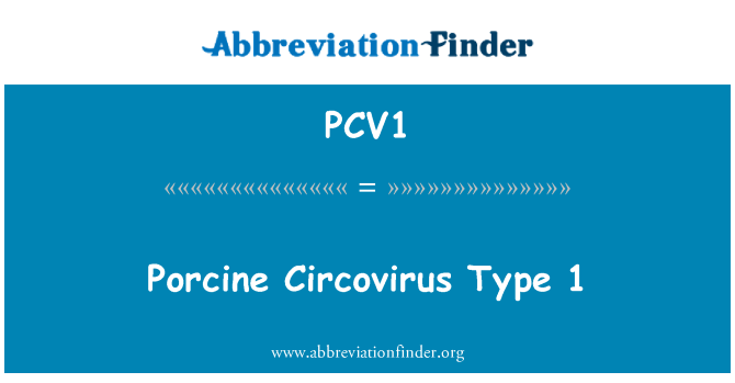 PCV1: 猪圆环病毒类型 1