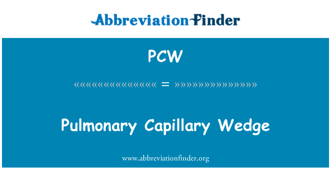 PCW: 폐 모 세관 쐐기