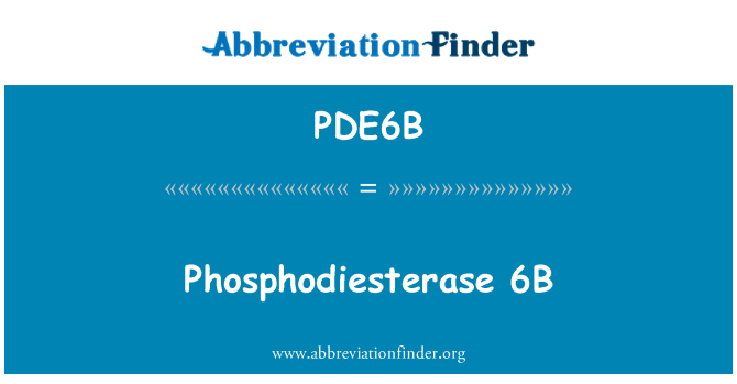 PDE6B: Phosphodiesterase 6B