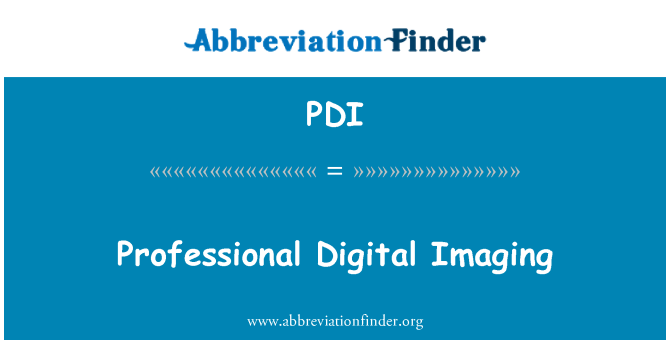 PDI: Professionelle digitale Bildbearbeitung