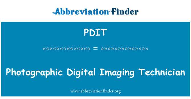PDIT: Fotografijos Digital Imaging technikas