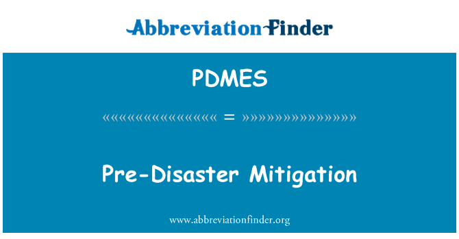 PDMES: 前減災