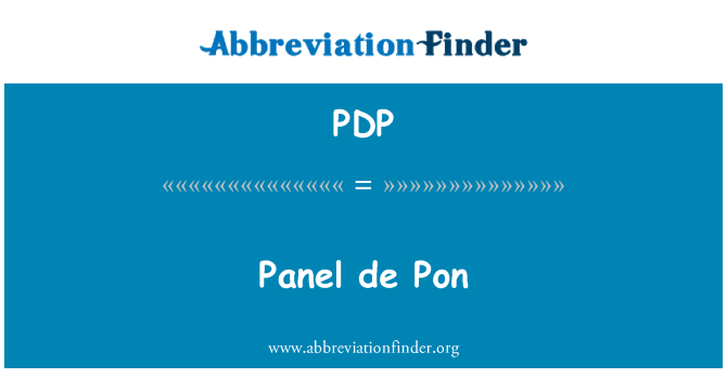 PDP: Panoul de Pon