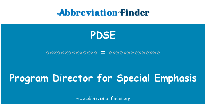 PDSE: Dyrektor programowy szczególnym