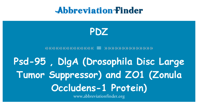 PDZ: PSD-95, DlgA (Octomilka disk velké nádorové supresorové) a ZO1 (Zonula Occludens-1 Protein)
