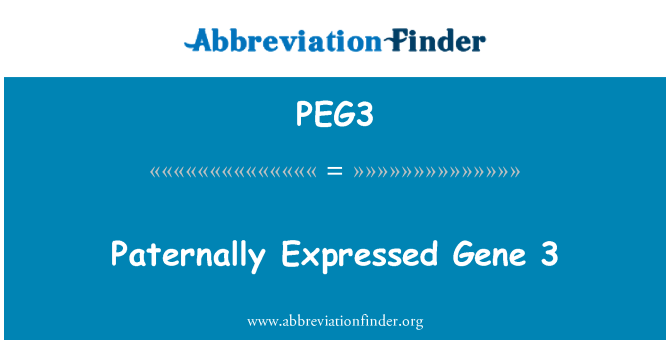 PEG3: Paternally izteikti Gene 3