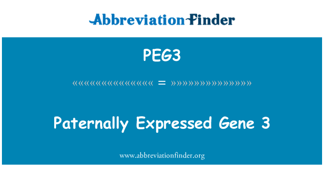 PEG3: Paternally išreikšta geno 3