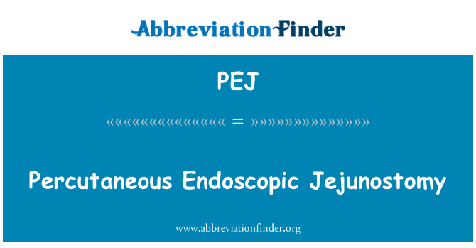 PEJ: Servizzi Endoscopic perkutanji