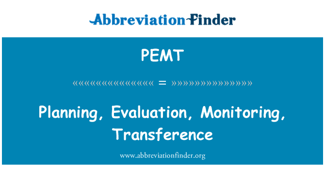 PEMT: Planificació, avaluació, Monitorització de web, translació