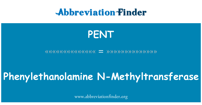 PENT: Phenylethanolamine N-metiltransferaz