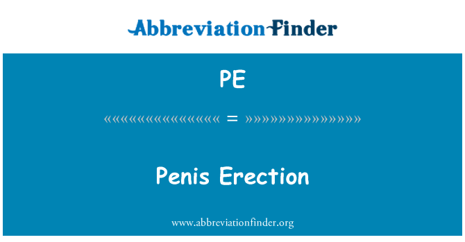 PE: הפין בזקפה