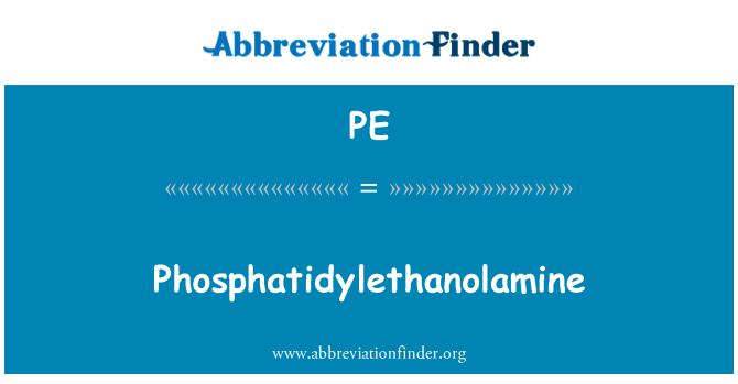 PE: Phosphatidylethanolamine