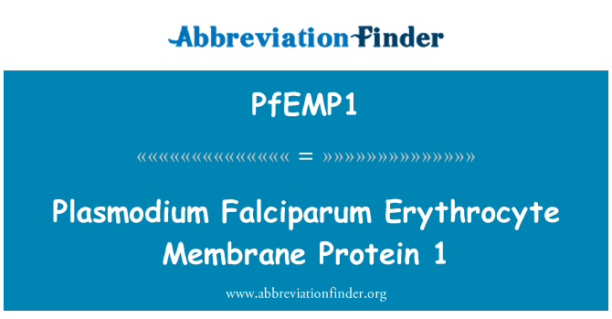 PfEMP1: Plasmodium Falciparum ταχύτητα μεμβράνη πρωτεΐνη 1