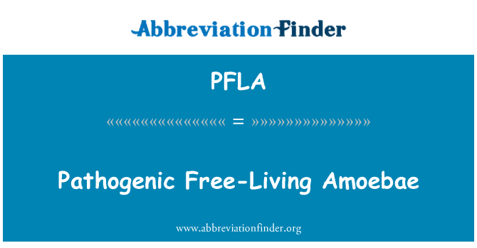 PFLA: Amoebae Free-Living pathogenig