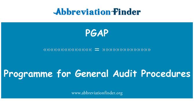 PGAP: Programme for General Audit Procedures