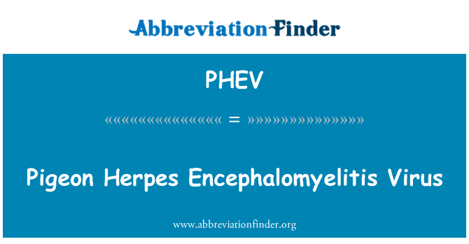 PHEV: Merpati Virus Herpes Encephalomyelitis