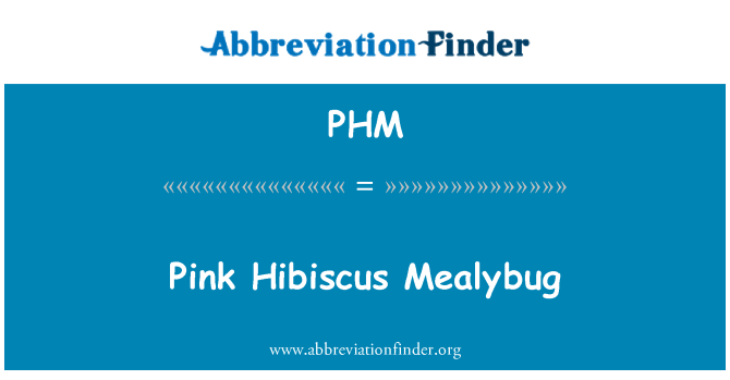 PHM: Pink Hibiscus Mealybug