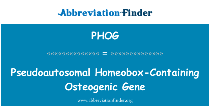 PHOG: Pseudoautosomal Homeobox obsahují Osteogenic gen