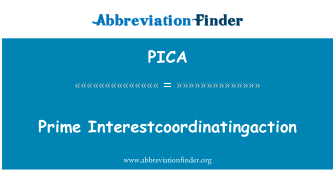 PICA: 主要 Interestcoordinatingaction