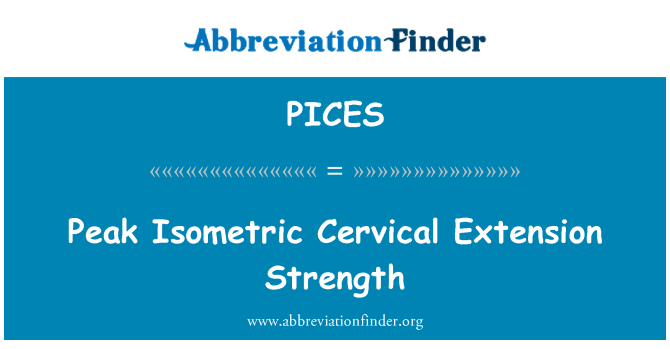 PICES: Peak Isometric Cervical Extension Strength