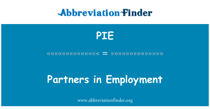 PIE: Partner nel mondo del lavoro