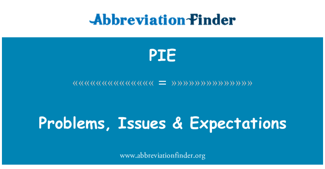 PIE: Problems, Issues & Expectations