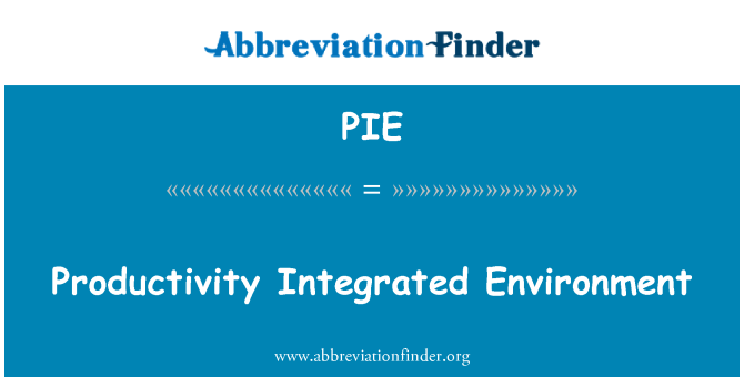 PIE: Productivity Integrated Environment