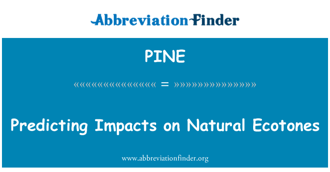PINE: Előre a természetes Ecotones gyakorolt hatások