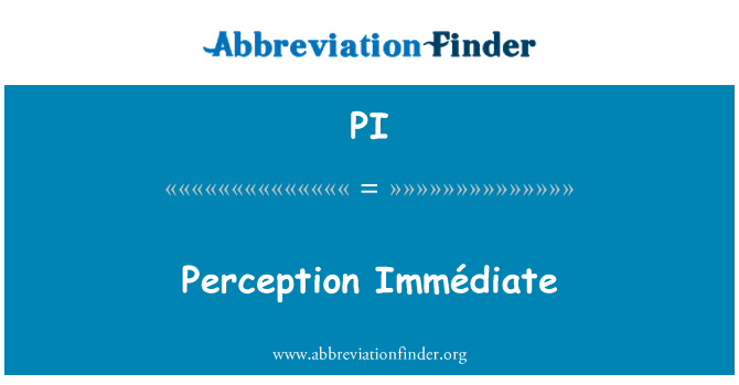 PI: Perception Immédiate