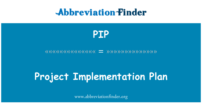 PIP: Cynllun gweithredu prosiect