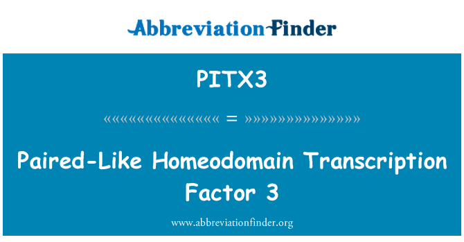 PITX3: Accoppiato-Like Homeodomain Transcription Factor 3