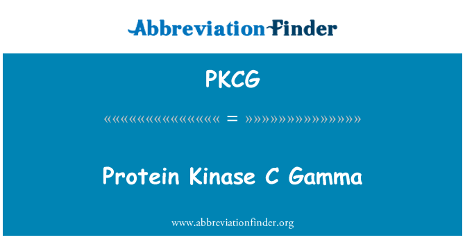 PKCG: 蛋白激酶 C 伽瑪