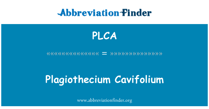 PLCA: Plagiothecium Cavifolium