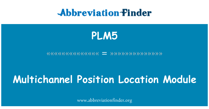 PLM5: Modulo di posizione di posizione multicanale