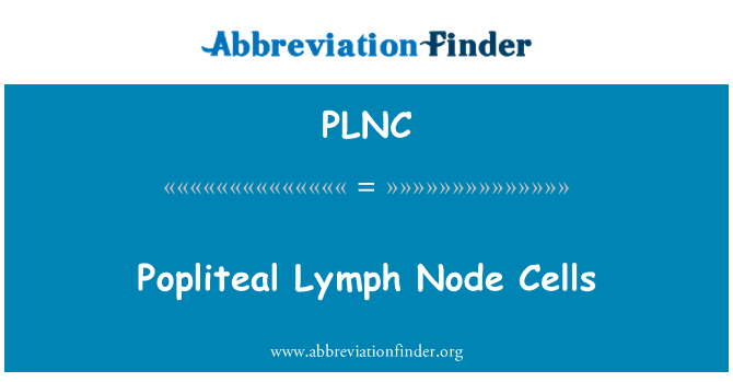 PLNC: Poplitealnih limfnih celic