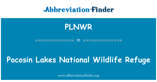 PLNWR: Lacs de Pocosin Refuge faunique National