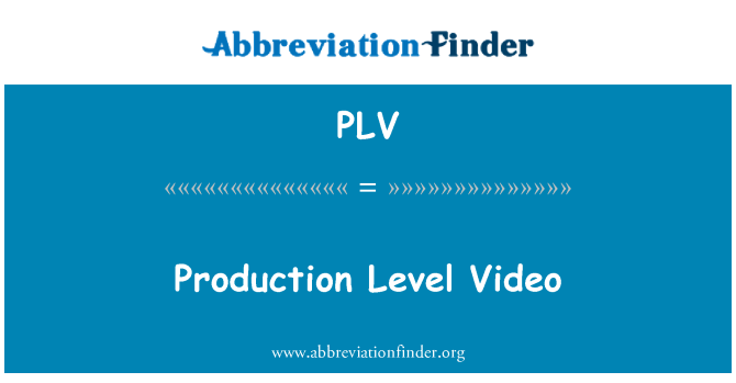 PLV: Úroveň Video produkce