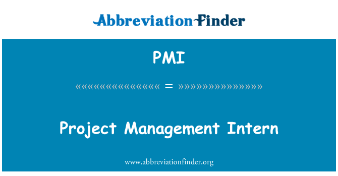 PMI: Projekt Management stážista