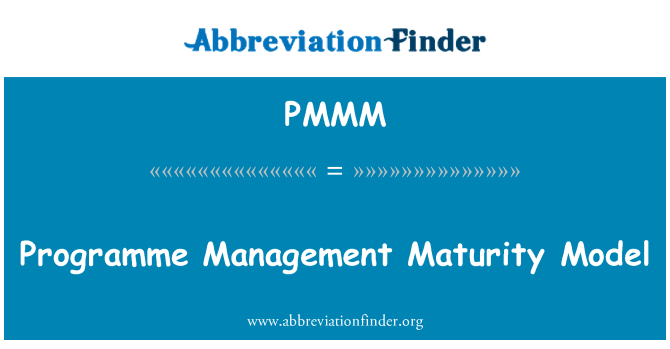 PMMM: Program Management Maturity Model