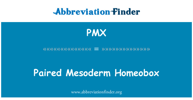 PMX: Associé Mesoderm Homeobox