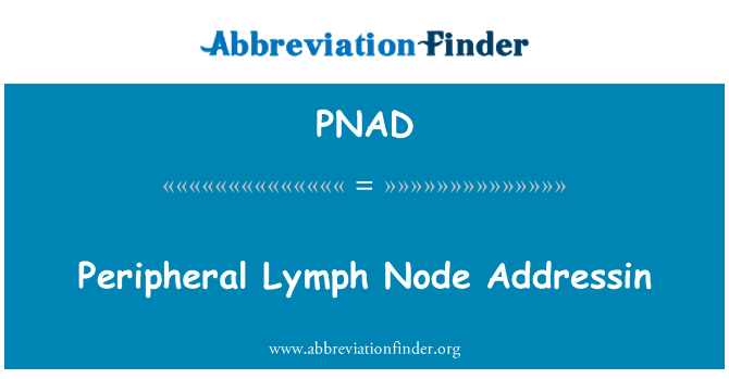 PNAD: Persisian s-VHS nod limfa Addressin