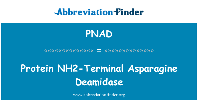 PNAD: Protein terfynell NH2 Asparagine Deamidase