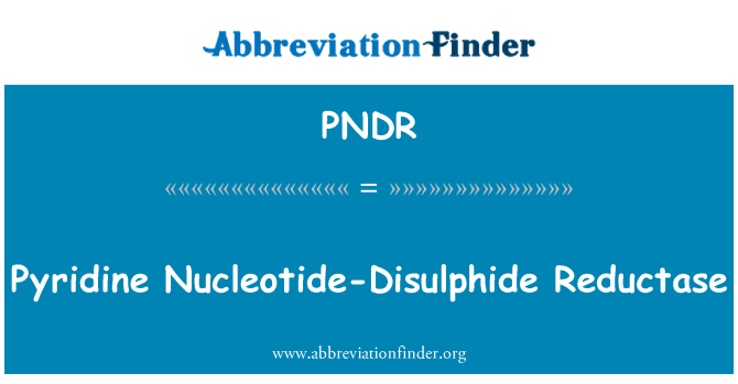 PNDR: פירידין נוקלאוטיד-Disulphide רדוקטאז